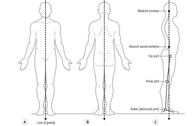 Çankaya Fizyoterapist -  Ankara Reformer Pilates Seansı -  Pilates - Ağrı - Mobilite - Fizyoterapi - Masaj - Egzersiz Fzt. Birce ATALAY